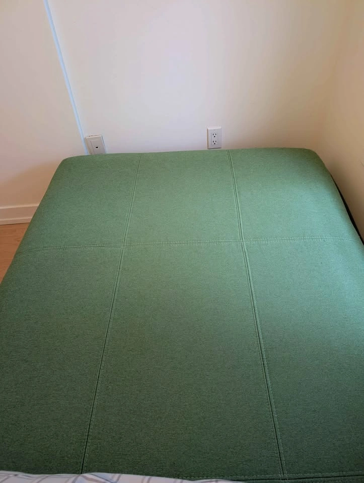 IKEA Flottebo Green Daybed/Couch with Storage - photo 4