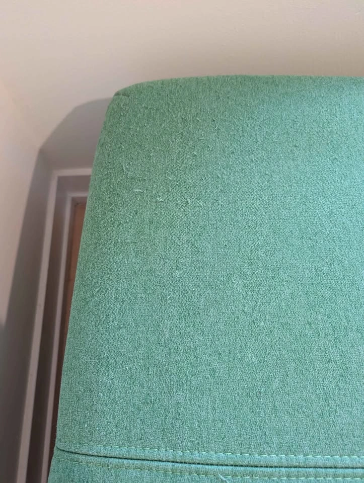 IKEA Flottebo Green Daybed/Couch with Storage - photo 5