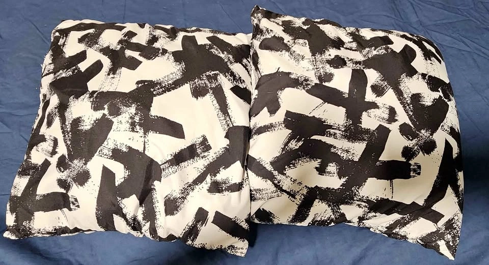 Modern Black & White Throw Pillows (Set of 2)