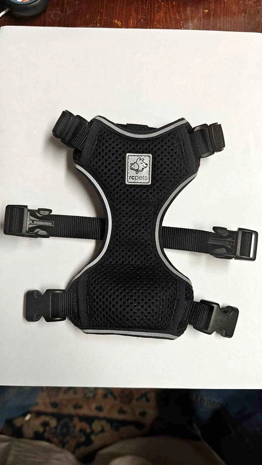RC Pets black S/P dog or cat harness and 6 foot leash set