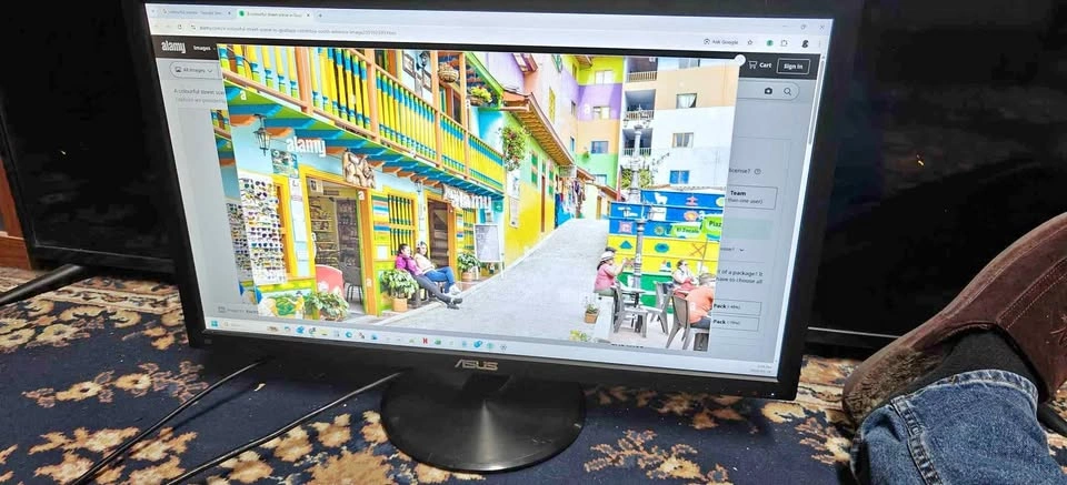 ASUS VP248 Series LCD Monitor