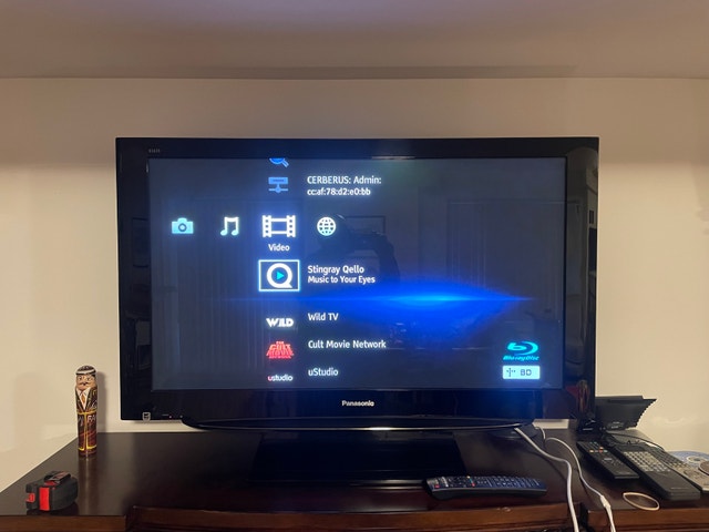 Panasonic Plasma TV with remote control