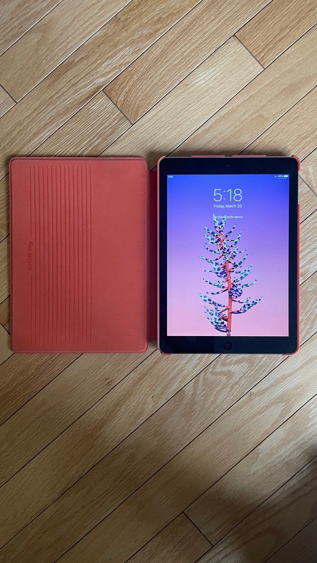 iPad Air Series 1 - MD785C/A