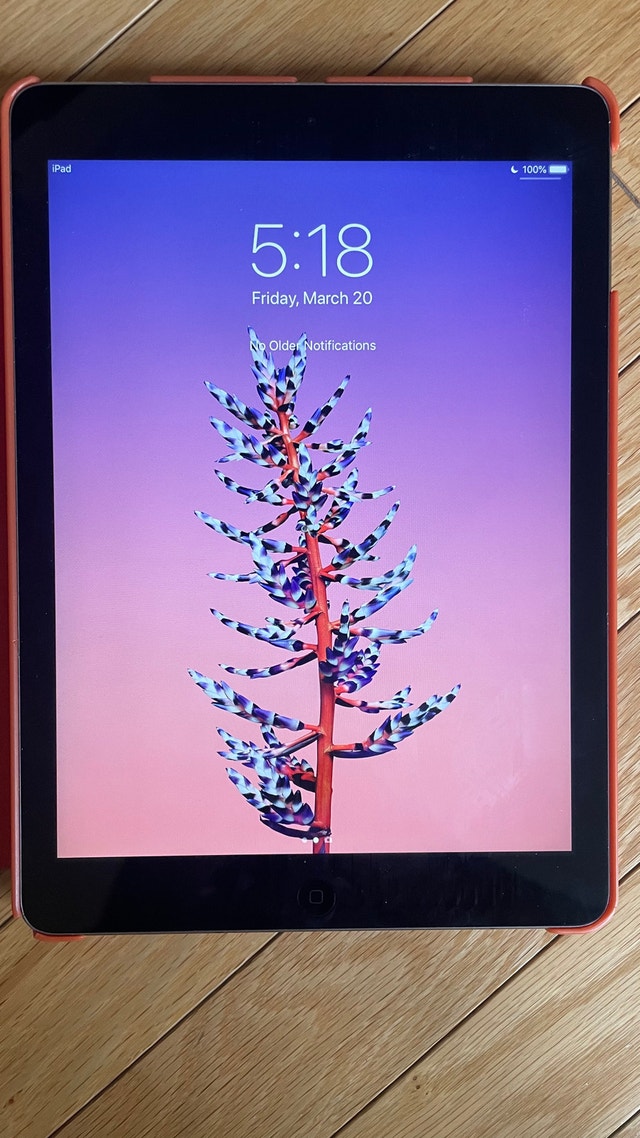 iPad Air Series 1 - MD785C/A - photo 2