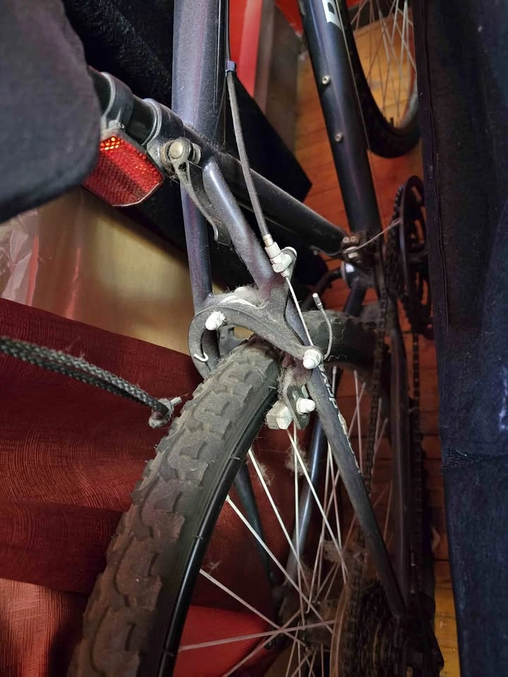 Regency Pacific Bike