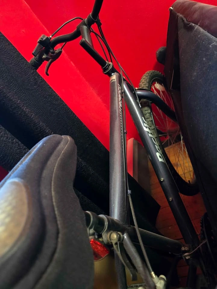 Regency Pacific Bike - photo 2