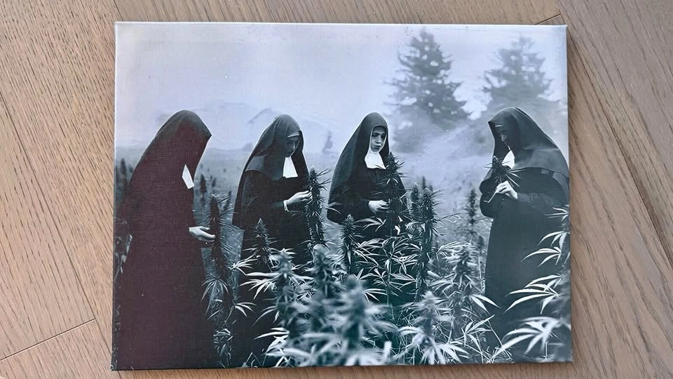 Nuns in Weed Farm Vintage Wall Art 12x16" 1920s B&W Funny Poster