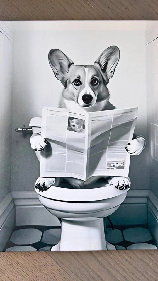 12x16" Funny Dog Toilet Canvas Wall Art Corgi Bathroom Decor