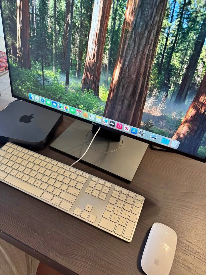 2018 Mac mini with Dell Monitor