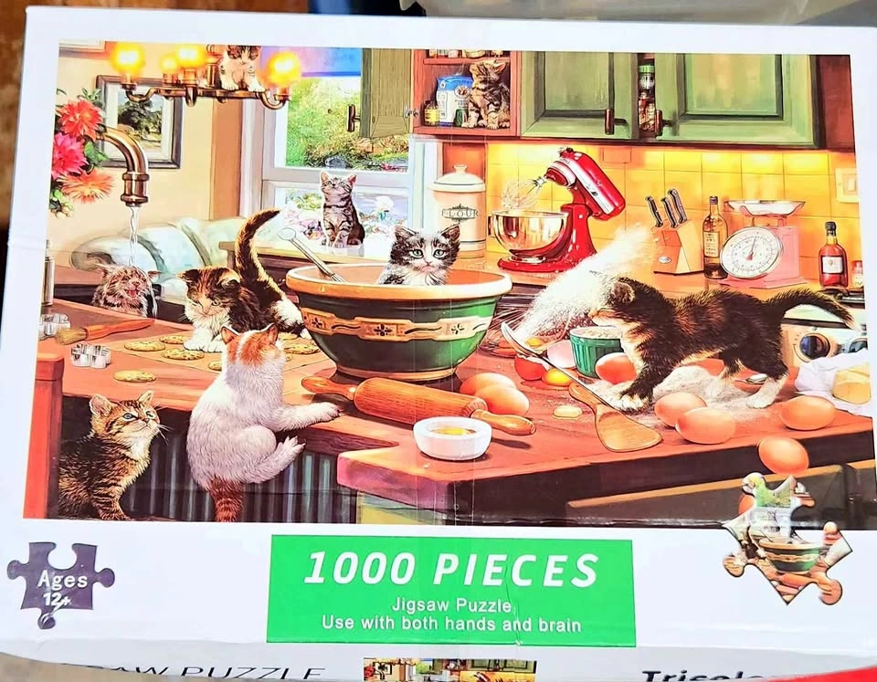 1000 Piece Puzzle