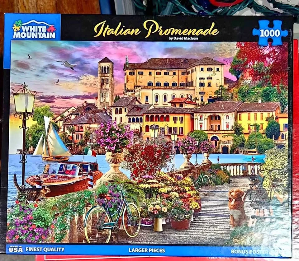 1000 Piece Puzzle