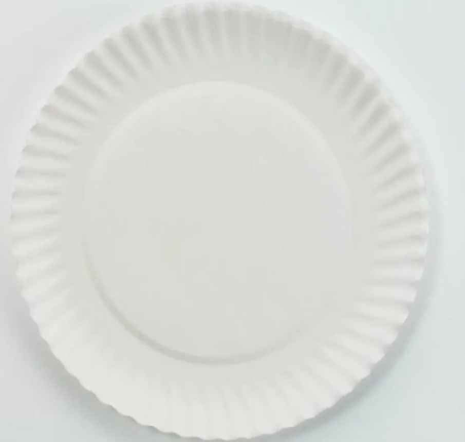 Paper Plates, 9" - photo 2