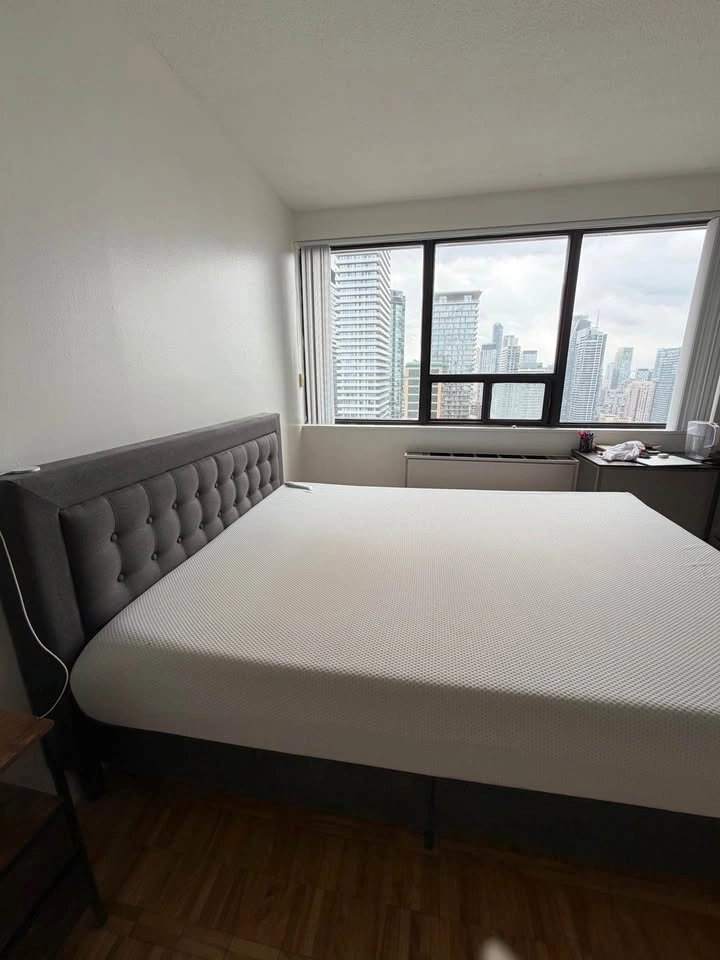 Premium queen 10” mattress - photo 3