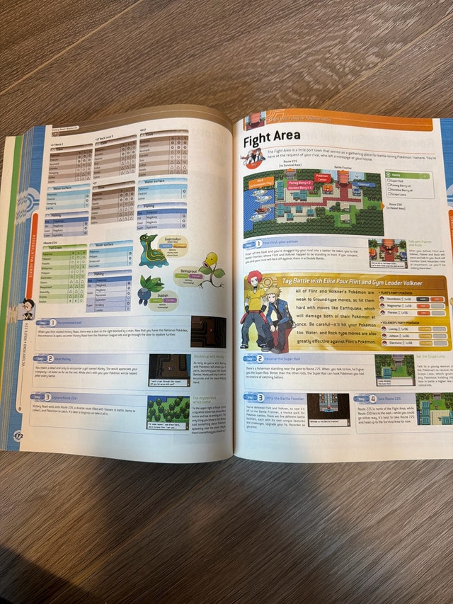 Pokemon Platinum Official Guide - photo 3