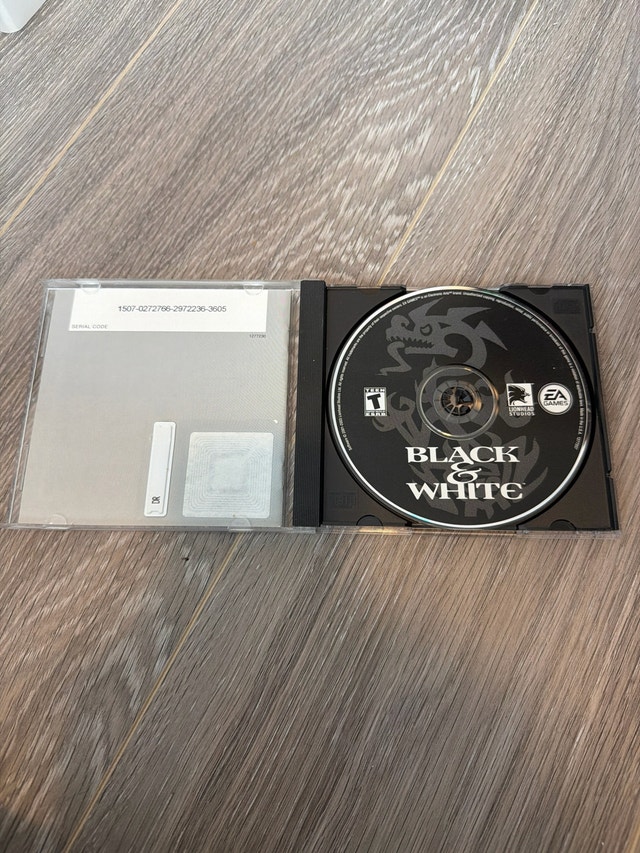 Black & White PC Game - photo 2