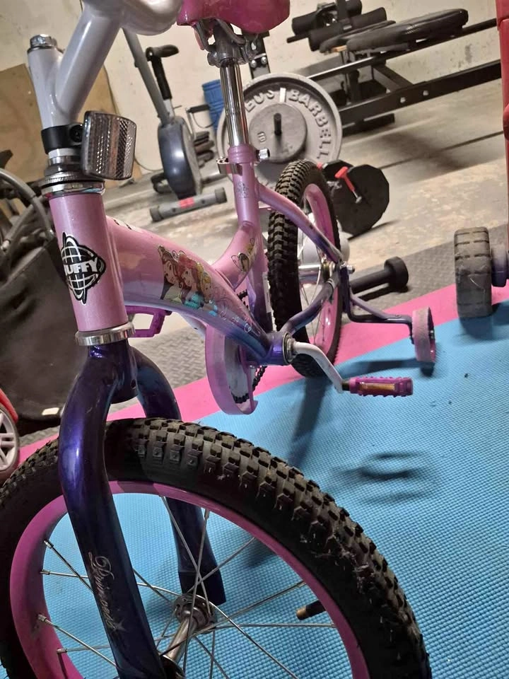 Huffy Disney Princess Girls Bike with Training Wheels
