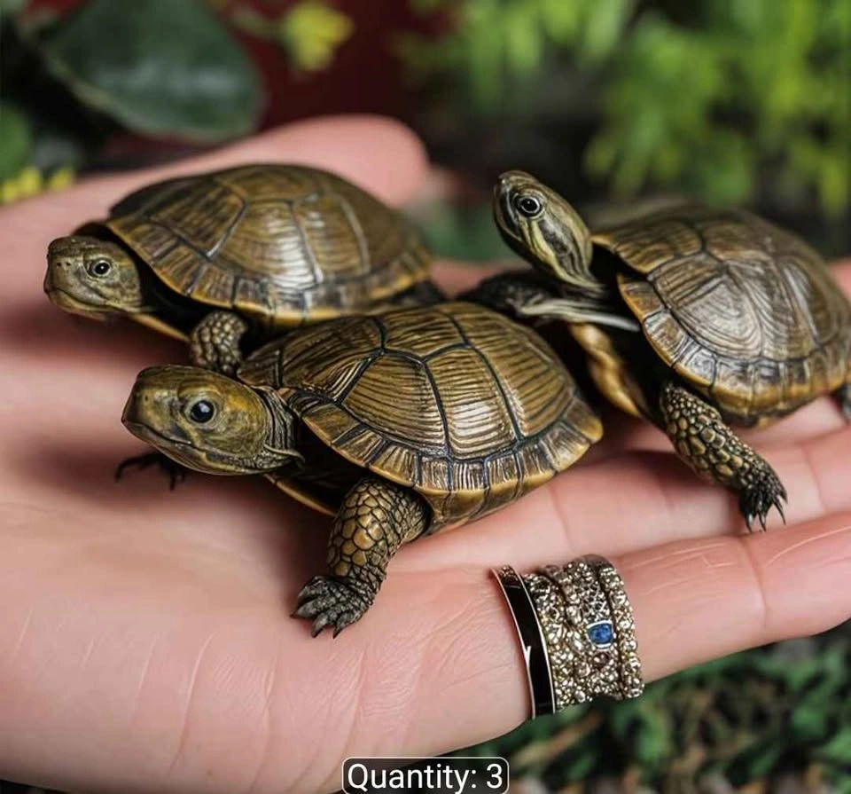 Realistic Turtle Statue - Resin Animal Ornament - photo 3