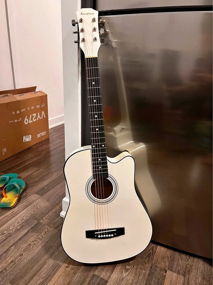 Rosefinch 38 inch Acoustic Guitar (Brand New)