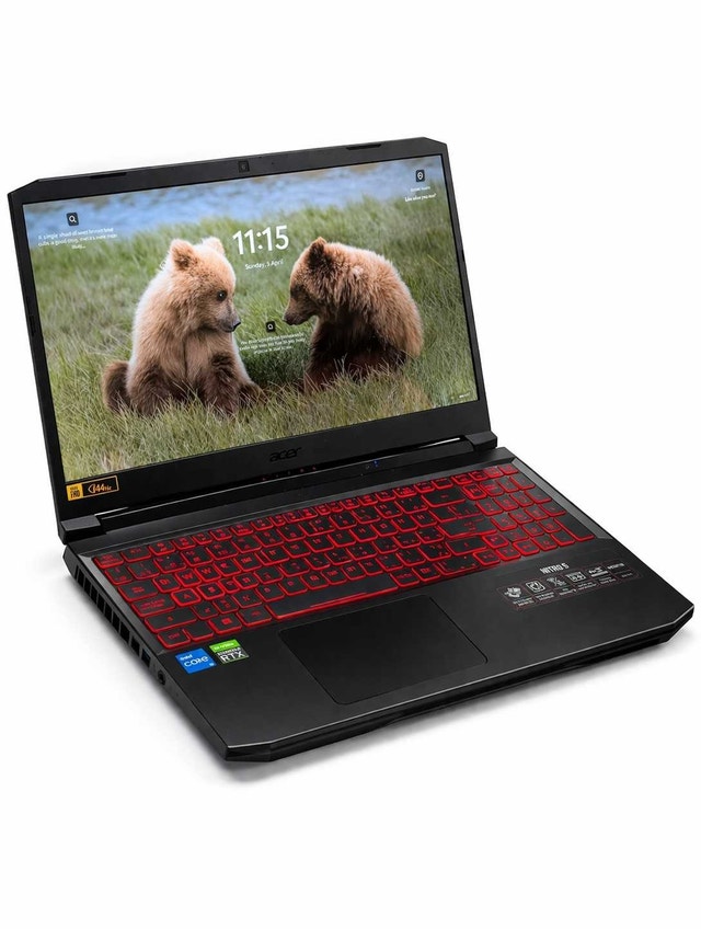 Acer Nitro 5 Gaming Laptop (RTX 3060, 1TB SSD)