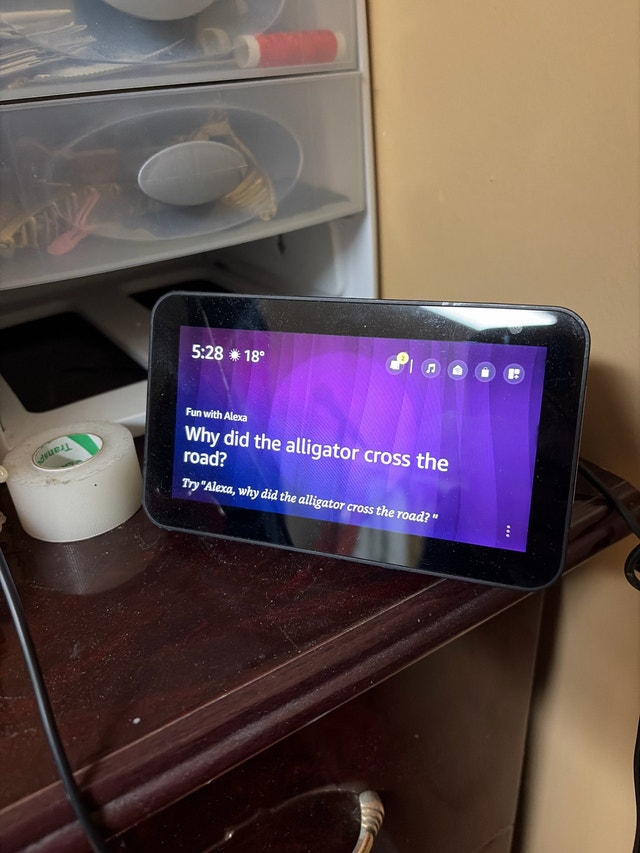Amazon Echo Show 5