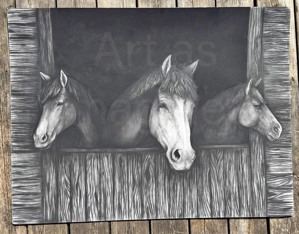 Three horses drawing