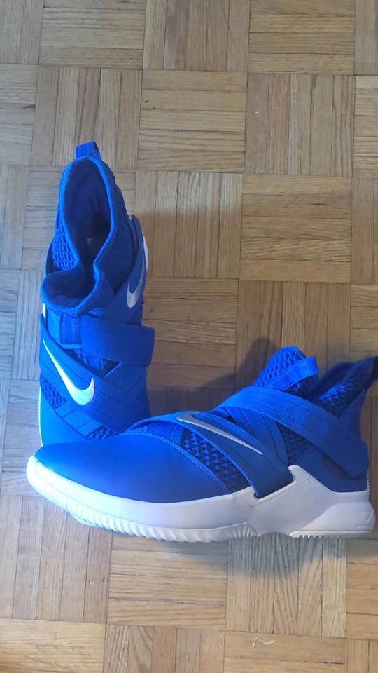 Basketball Shoes LEBRON