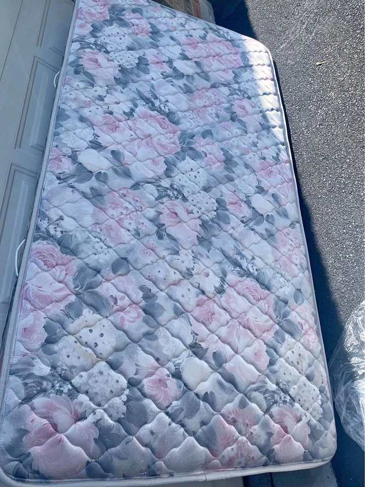 Twin Sealy Spring Mattress