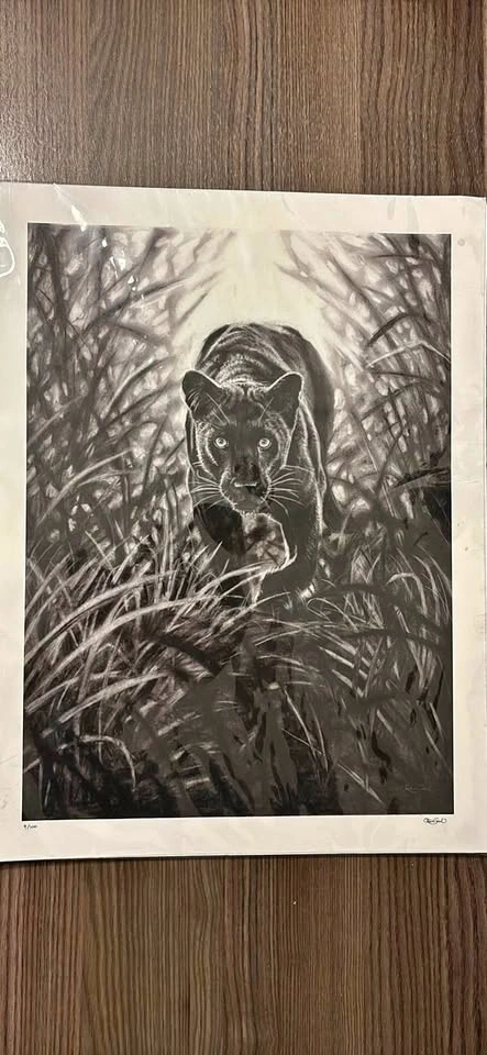 Panther Art Print