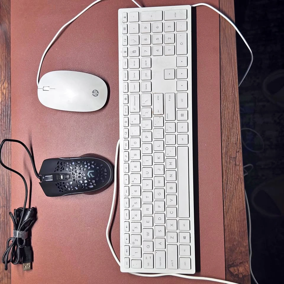 HP All-in-One Original Keyboard and Mouse+ RGB Gaming Mouse