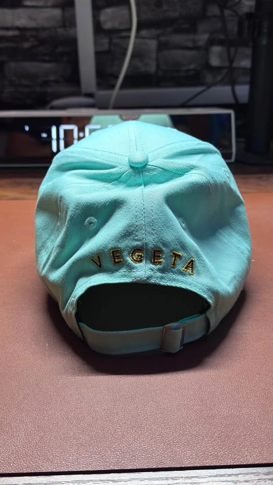 DBZ Cap Vegeta + DBZ orange suck + PS4 Kakarot Game - photo 3