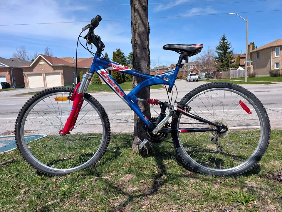 Adult Bicycle