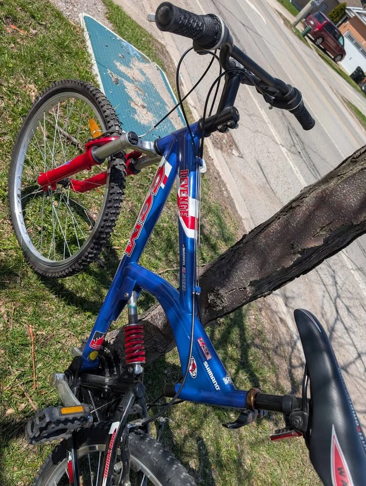 Adult Bicycle - photo 2