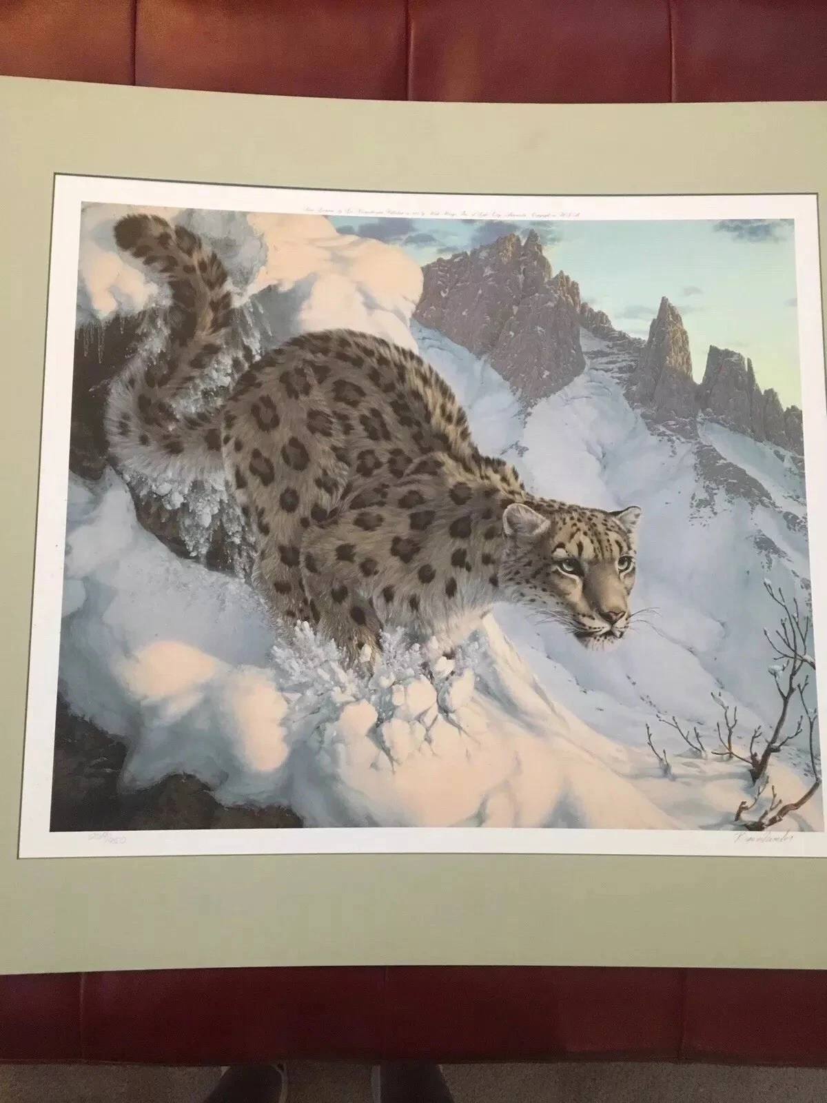 Lee Kromschroeder SNOW LEOPARD Limited Signed Print