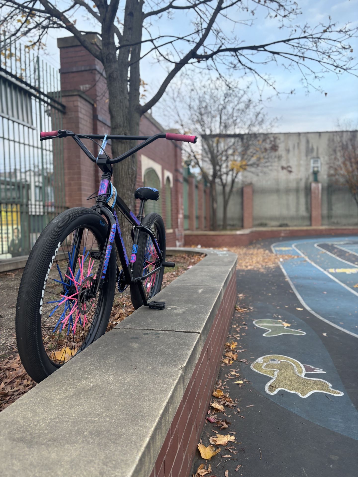 SE Bikes Maniacc Flyer Custom 27.5in BMX - photo 3