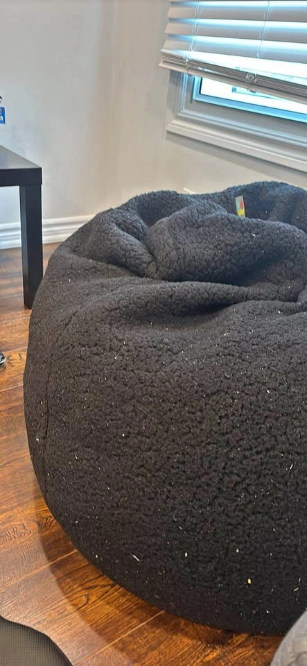Large bean bag chair