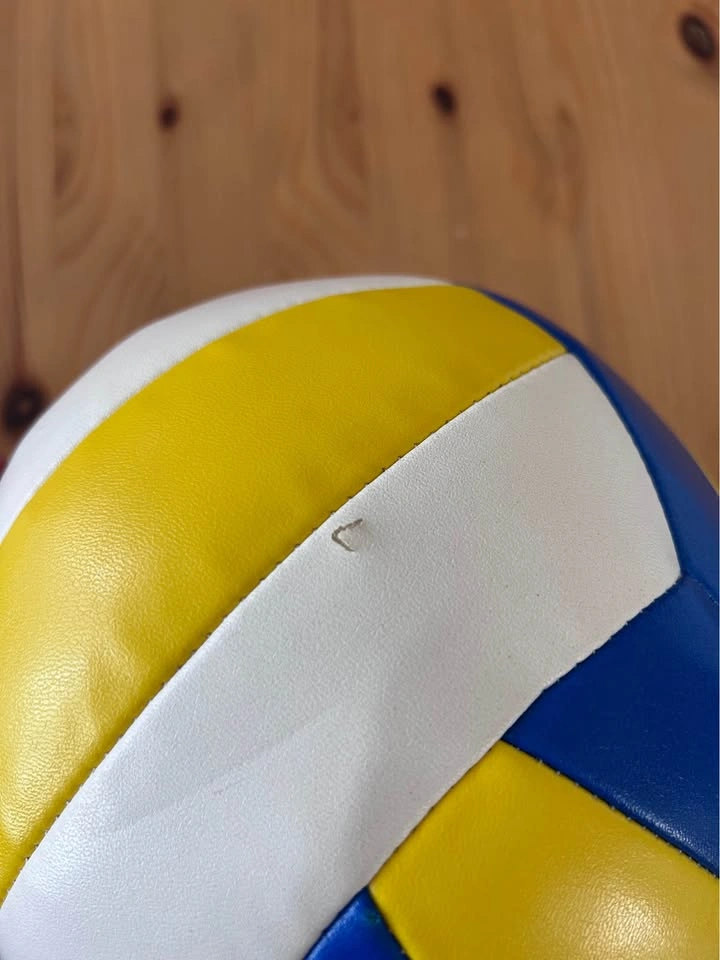 PSYCHE Volleyball - photo 2
