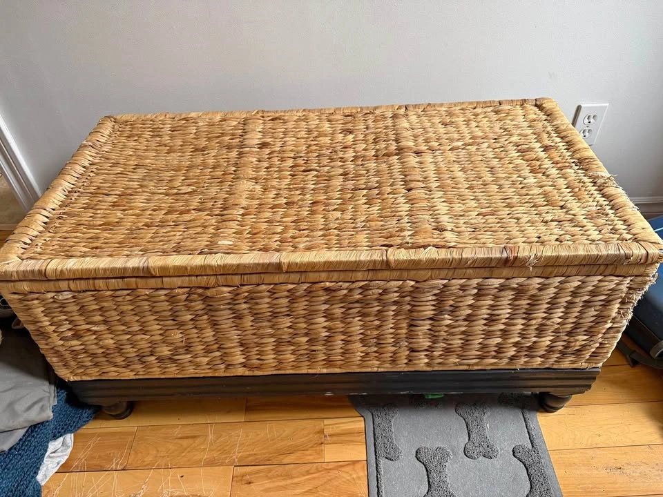 Storage chest (please read)