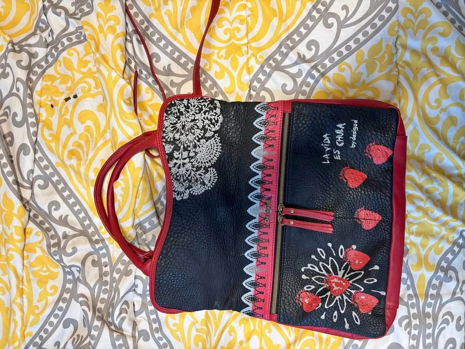 Bag with red interior