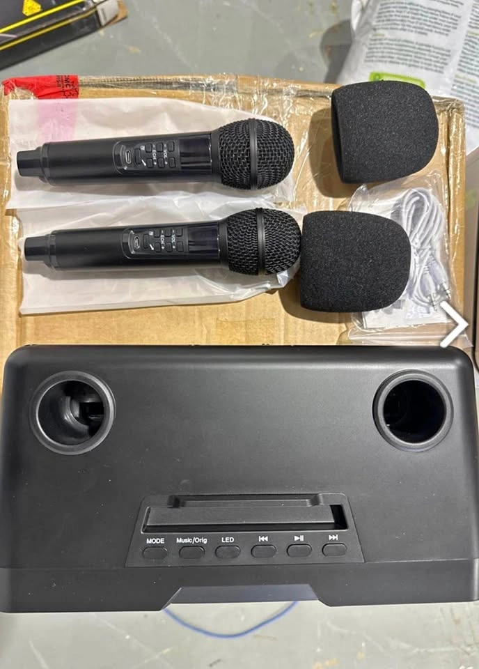 Karaoke Machine with 2 Wireless Mics