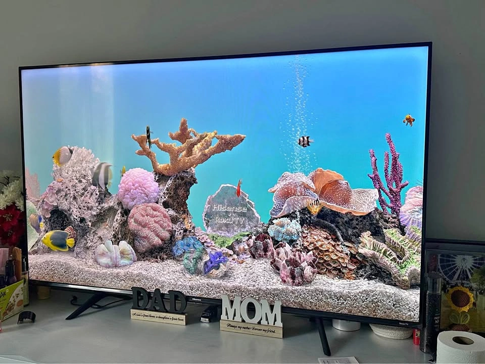 Hisense 55 inch Roku TV