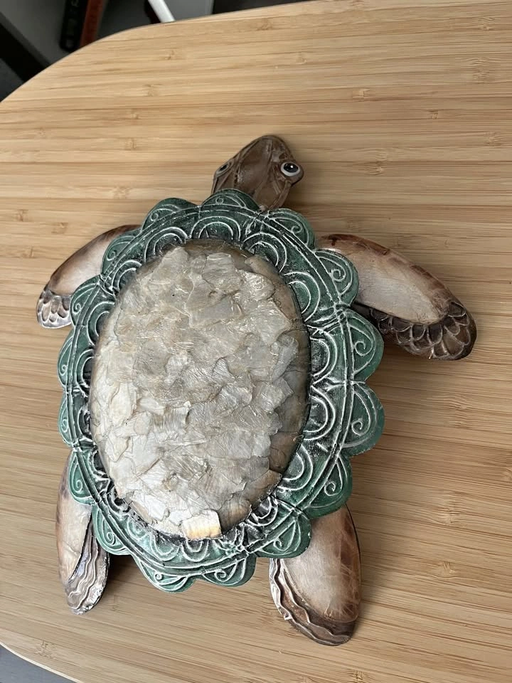 Sea Turtle Arts - Walls or Tables