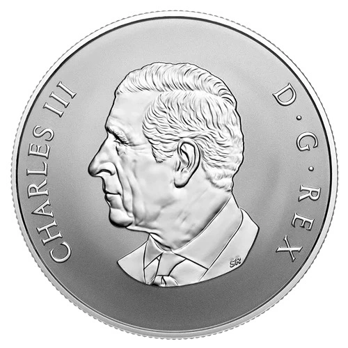 2025 Canada Welcome to the World Silver Coin - 1/2oz - photo 4