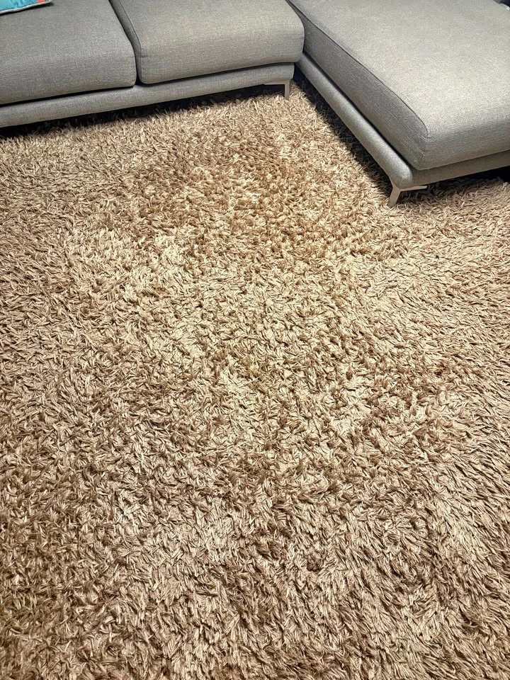 Silhouette Home Shag Rug
