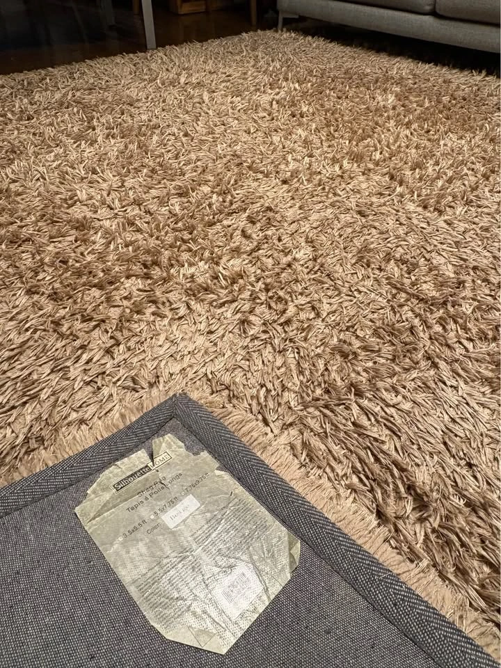 Silhouette Home Shag Rug - photo 3