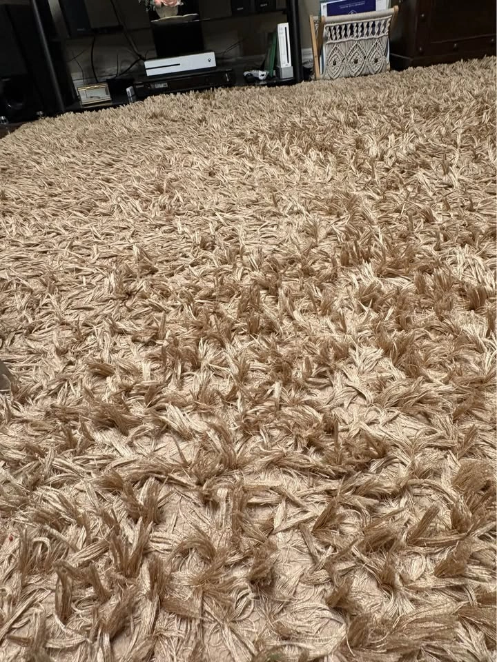 Silhouette Home Shag Rug - photo 4