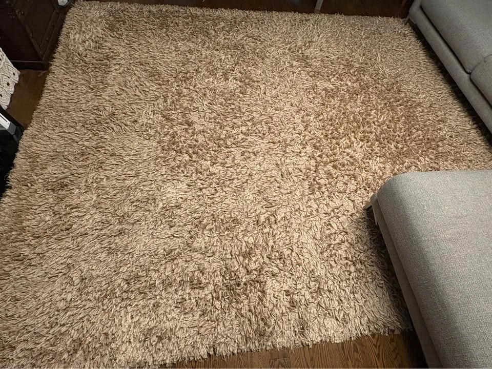 Silhouette Home Shag Rug - photo 5
