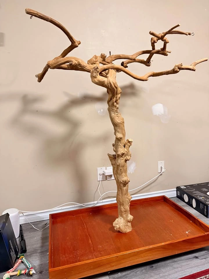 Parrot Playstand Tree