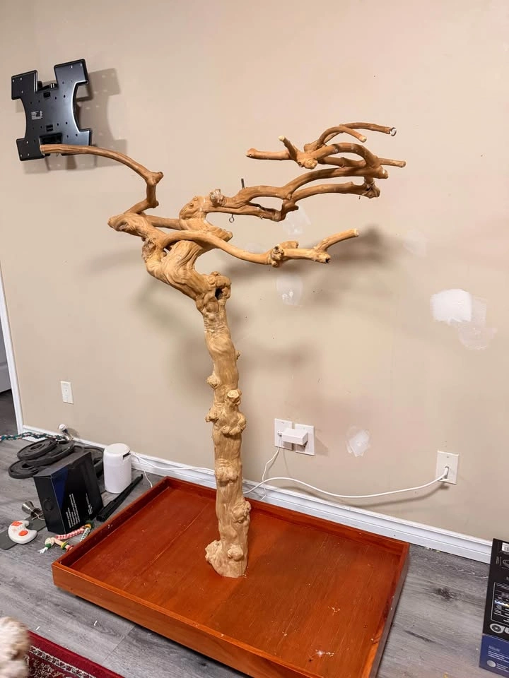 Parrot Playstand Tree - photo 3