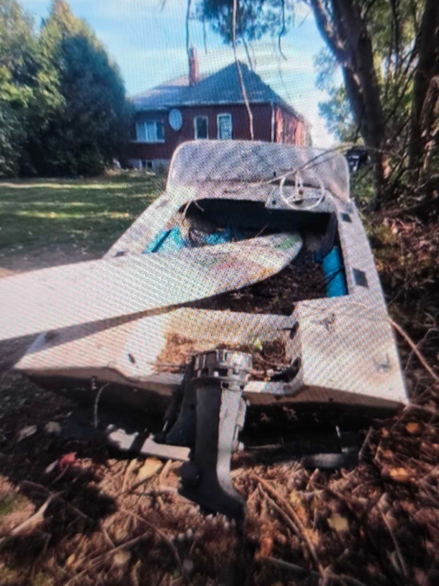 1975 Mercury Project Boat on Trailer - photo 2