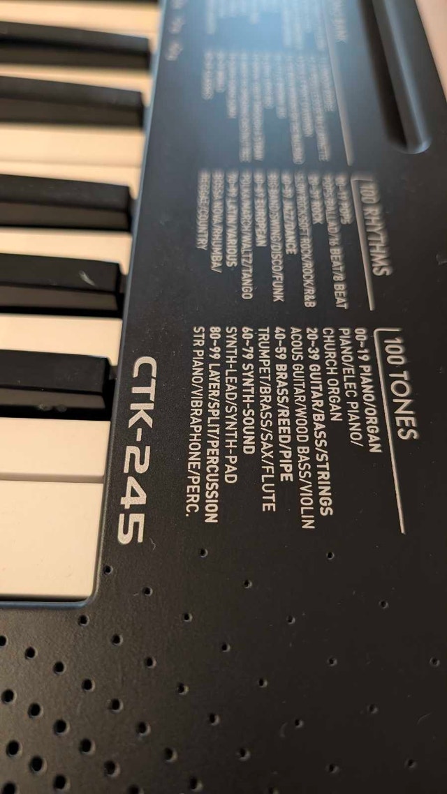 Casio CTK-245 49-key Portable Keyboard w/ Stand - photo 3